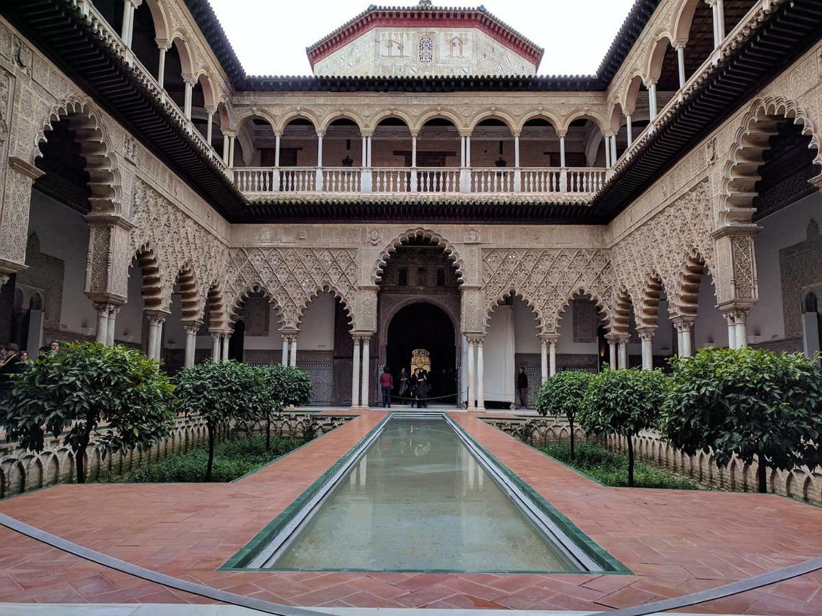 Appartement Museo *